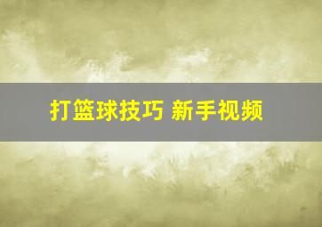 打篮球技巧 新手视频